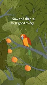 bird alone
