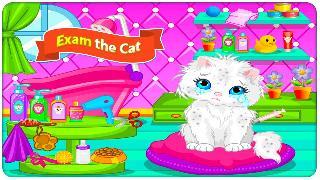 cat caring and makeover
