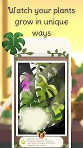 kinder world: cozy plants