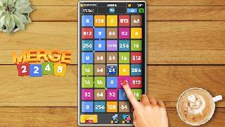 merge 2248: link number puzzle