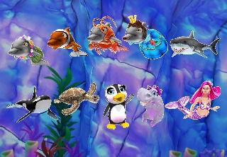 my dolphin show