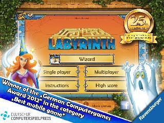 the amazing labyrinth