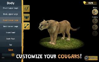 wild cougar sim 3d