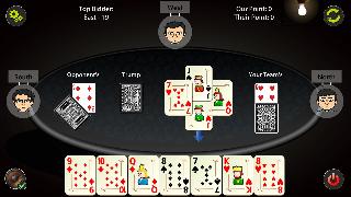 29 card game