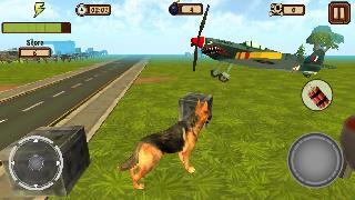 doggy dog world