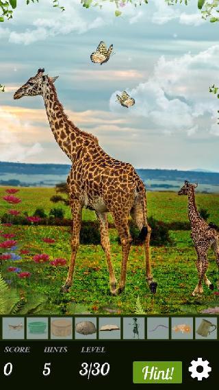 hidden object - nature moms