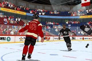 hockey fight pro