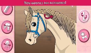 horse care - mane braiding
