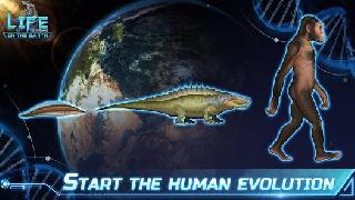 life on earth: evolution game