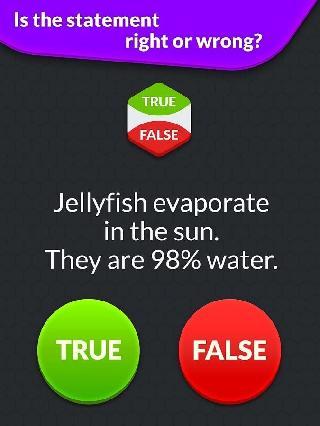 true or false: quiz battle