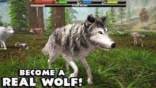 ultimate wolf simulator