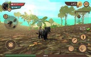 wild panther sim 3d