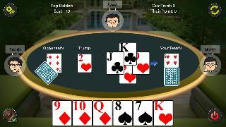 29 card game