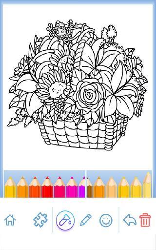 coloring book for adults