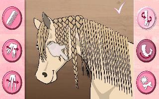 horse care - mane braiding