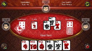 29 card game