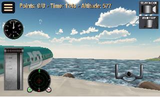 flight simulator: fly plane 3d