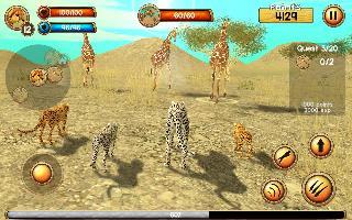 wild cheetah sim 3d