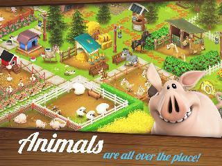 hay day