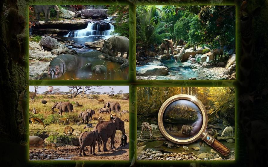 Hidden Objects Animal Kingdom Tips, Tricks, Cheats