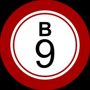 bingo america GameSkip