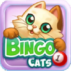 bingo cats GameSkip