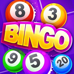 bingo live bingo showdown GameSkip