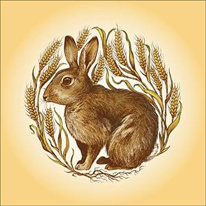 lost rabbit GameSkip