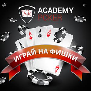 poker academy GameSkip