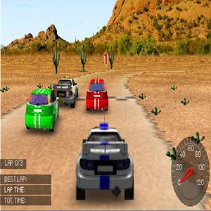 rally racing GameSkip