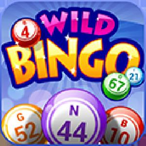 wild bingo GameSkip