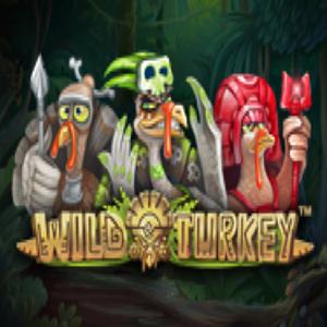 wild turkey GameSkip